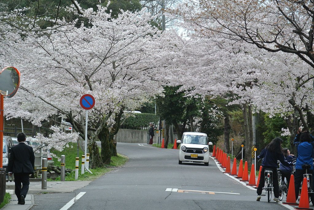 🌸 쓰카이라쿠 공원 이미지 6